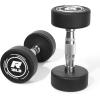 RitFit 5-250 LBS PVC Encased Round Dumbbell sets with Knurled Handle and Optional Rack, Strength Training Equipment for Home Gym(2X15LBS)