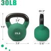 RitFit Neoprene Coated Solid Cast Iron Kettlebell 5 10 15 20 25 30 35 40 45 50 LB, Great for Full Body Workout, Cross-Training, Weight Loss & Strength Training(30LB(Green))