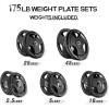 RitFit Olympic Rubber Grip Plates for Barbell, 2-Inch Weight Plates for Weightlifting and Strength Training in Home & Gym, Single, Pair and Sets(2.5/5/10/25/35/45 LB)(175 Set)