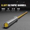 RITFIT 7FT Olympic Barbell for Strength and Weightlifting Training – 2 Inch Olympic Bar for Squat, Deadlift, Bench Press, Curl, Overhead Press – 600lbs/1000lbs/1200lbs Capacity(Sliver/Yellow)