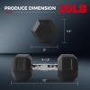 RitFit 5-300LBS Rubber Encased Hex Dumbbell Sets with Optional Rack for Home Gym, Coated Hand Weights for Strength Training, Workouts(2 X 20 LBS)