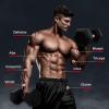 RitFit 5-300LBS Rubber Encased Hex Dumbbell Sets with Optional Rack for Home Gym, Coated Hand Weights for Strength Training, Workouts(2 X 45 LBS)