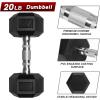 RitFit 5-650 LBS PVC Encased Hex Dumbbell Sets with Optional Rack for Home Gym, Hand weight with Chrome Handle for Strength Training, Workouts(2X20LBS)