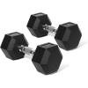 RitFit 5-650 LBS PVC Encased Hex Dumbbell Sets with Optional Rack for Home Gym, Hand weight with Chrome Handle for Strength Training, Workouts(2X20LBS)