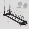 RitFit Horizontal/Vertical Weight Plates Rack, Weight Storage Rack with Barbell Bumper Weight Plates Holder for 2-Inch Weight Plates, Olympic Bar Storage Rack with Handle and Rolling Wheels(Horizontal)