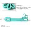 RitFit Pull Up Assist Band – Premium Resistance Band for Pull Up Assistance, Resistance Training, Body Stretching, Powerlifting, Mobility Training(#8 Aqua – 10 to 35 Pounds)