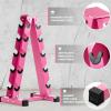 RitFit 250LB/300LB Rubber Hex Dumbbell Sets with Weights Rack, Multiple Color Choices Available, Great Gym Equipment for Home, Strength Training, Workouts(Pink)