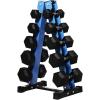RitFit 250LB/300LB Rubber Hex Dumbbell Sets with Weights Rack, Multiple Color Choices Available, Great Gym Equipment for Home, Strength Training, Workouts(Blue)