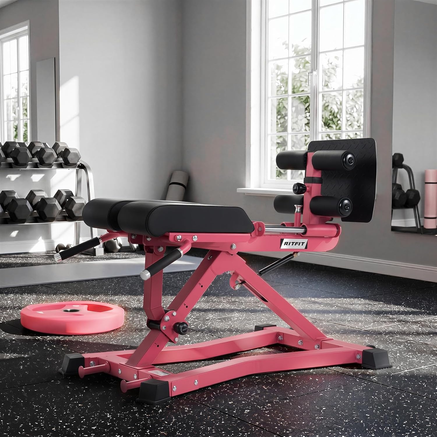 image:imageRitFit Back Extension Machine Roman Chair Hyperextension Bench for Home GymPink