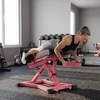 RitFit Back Extension Machine Roman Chair Hyperextension Bench for Home Gym(Pink)