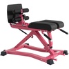 RitFit Back Extension Machine Roman Chair Hyperextension Bench for Home Gym(Pink)