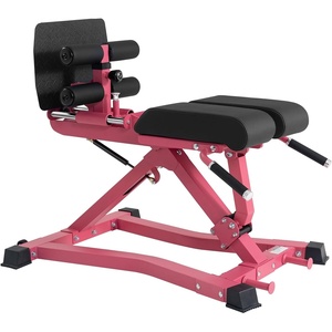 RitFit Back Extension Machine Roman Chair Hyperextension Bench for Home Gym(Pink)